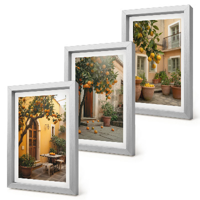 Ensemble de 3 tableaux Un jardin avec des agrumes dans un cadre ensoleillé
