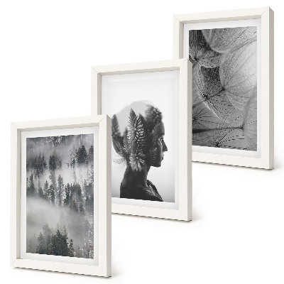 Lot de 3 tableaux Portrait d'une forêt dans le brouillard, avec des arbres et des pissenlits délicats.