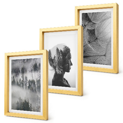 Lot de 3 tableaux Portrait d'une forêt dans le brouillard, avec des arbres et des pissenlits délicats.
