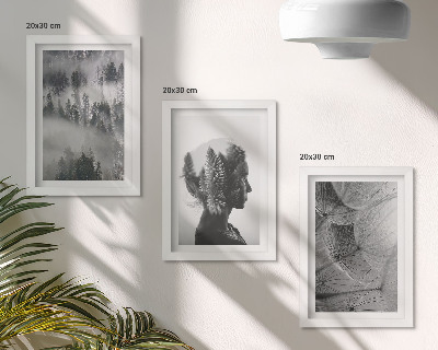 Lot de 3 tableaux Portrait d'une forêt dans le brouillard, avec des arbres et des pissenlits délicats.