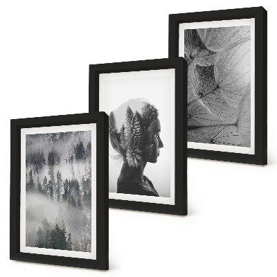 Lot de 3 tableaux Portrait d'une forêt dans le brouillard, avec des arbres et des pissenlits délicats.