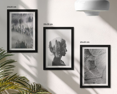 Lot de 3 tableaux Portrait d'une forêt dans le brouillard, avec des arbres et des pissenlits délicats.
