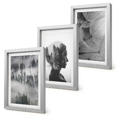 Lot de 3 tableaux Portrait d'une forêt dans le brouillard, avec des arbres et des pissenlits délicats.
