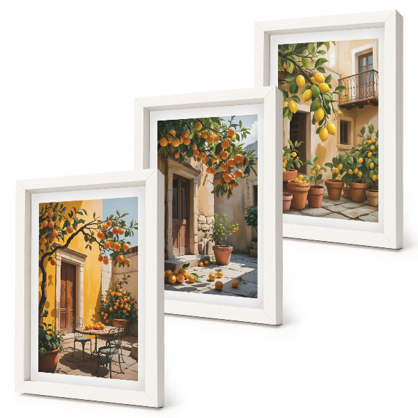 Ensemble de 3 tableaux Agrumes dans une cour ensoleillée avec des plantes