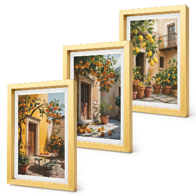 Ensemble de 3 tableaux Agrumes dans une cour ensoleillée avec des plantes