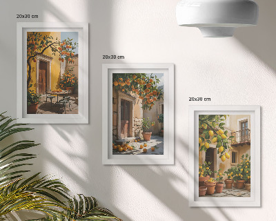 Ensemble de 3 tableaux Agrumes dans une cour ensoleillée avec des plantes