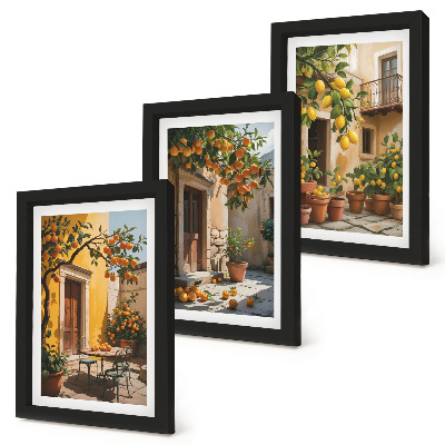 Ensemble de 3 tableaux Agrumes dans une cour ensoleillée avec des plantes