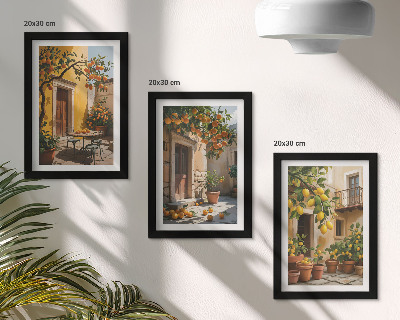 Ensemble de 3 tableaux Agrumes dans une cour ensoleillée avec des plantes