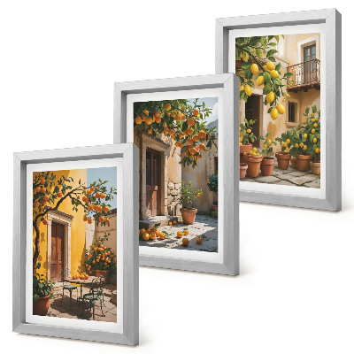 Ensemble de 3 tableaux Agrumes dans une cour ensoleillée avec des plantes