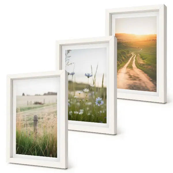 Mur de cadres paysages naturels avec champs et chemin ensoleillé