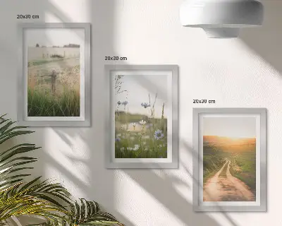 Mur de cadres paysages naturels avec champs et chemin ensoleillé