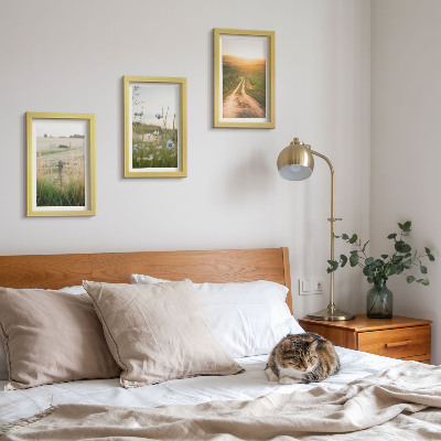 Mur de cadres Paysages naturels avec des champs et un chemin au soleil