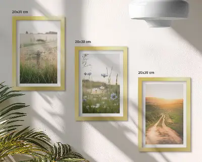 Mur de cadres paysages naturels avec champs et chemin ensoleillé