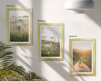 Mur de cadres Paysages naturels avec des champs et un chemin au soleil