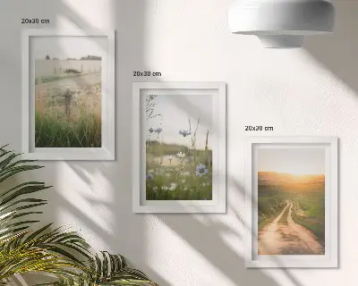 Mur de cadres paysages naturels avec champs et chemin ensoleillé