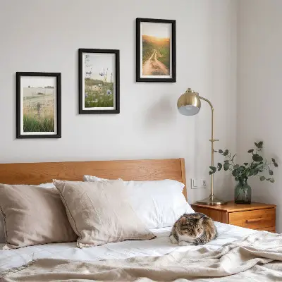 Mur de cadres paysages naturels avec champs et chemin ensoleillé