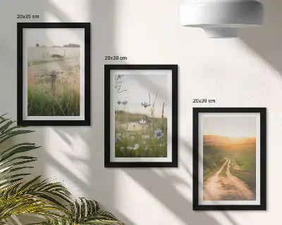 Mur de cadres paysages naturels avec champs et chemin ensoleillé