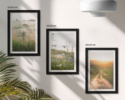 Mur de cadres Paysages naturels avec des champs et un chemin au soleil