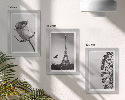 Mur de cadres Tour Eiffel rose et grande roue en monochrome