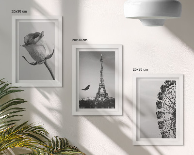 Mur de cadres Tour Eiffel rose et grande roue en monochrome
