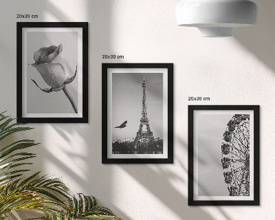 Mur de cadres Tour Eiffel rose et grande roue en monochrome
