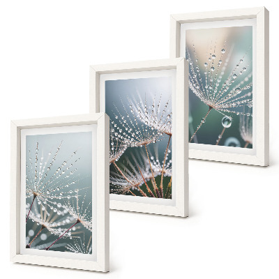 Ensemble de 3 tableaux Des gouttes d'eau sur les délicates pousses de pissenlit