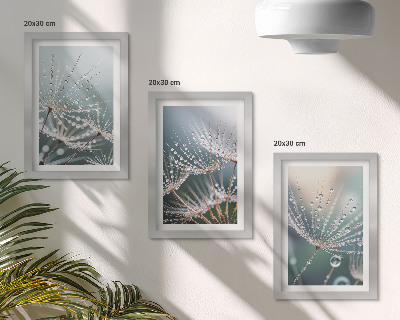 Ensemble de 3 tableaux Des gouttes d'eau sur les délicates pousses de pissenlit