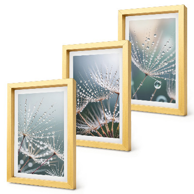 Ensemble de 3 tableaux Des gouttes d'eau sur les délicates pousses de pissenlit