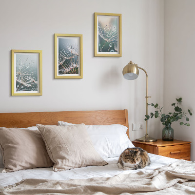 Ensemble de 3 tableaux Des gouttes d'eau sur les délicates pousses de pissenlit