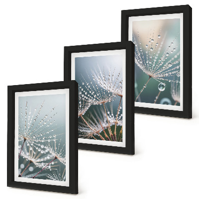 Ensemble de 3 tableaux Des gouttes d'eau sur les délicates pousses de pissenlit