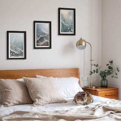 Ensemble de 3 tableaux Des gouttes d'eau sur les délicates pousses de pissenlit