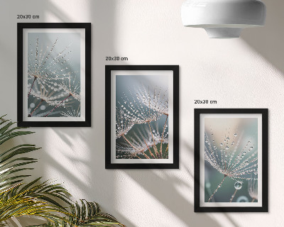 Ensemble de 3 tableaux Des gouttes d'eau sur les délicates pousses de pissenlit
