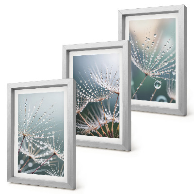 Ensemble de 3 tableaux Des gouttes d'eau sur les délicates pousses de pissenlit