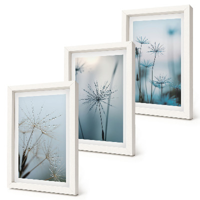 Lot de 3 tableaux Pissenlits délicats avec des gouttes d'eau