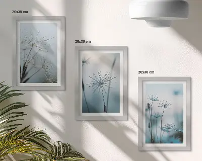 Tableaux Pissenlits délicats avec des gouttes d'eau lot de 3