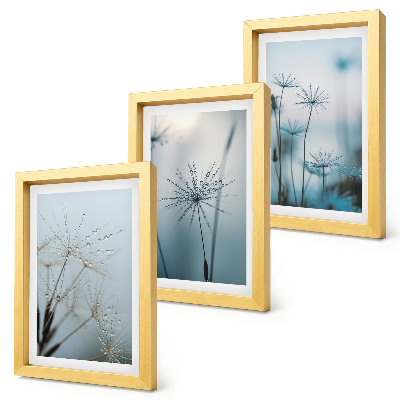Lot de 3 tableaux Pissenlits délicats avec des gouttes d'eau