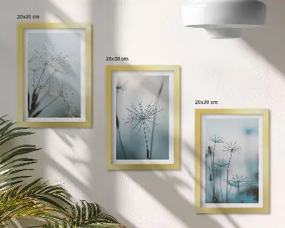 Tableaux Pissenlits délicats avec des gouttes d'eau lot de 3