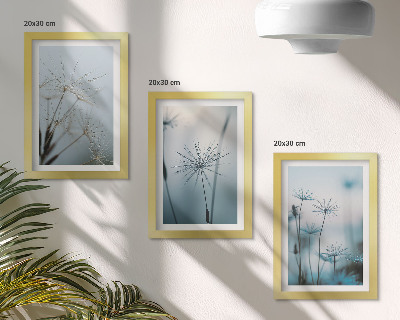 Lot de 3 tableaux Pissenlits délicats avec des gouttes d'eau