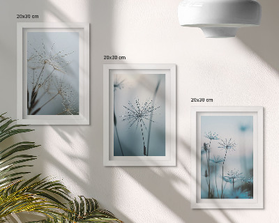 Lot de 3 tableaux Pissenlits délicats avec des gouttes d'eau