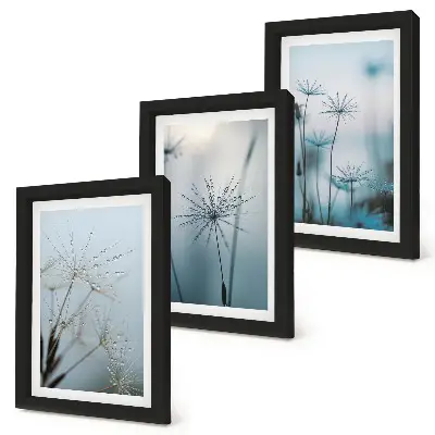 Tableaux Pissenlits délicats avec des gouttes d'eau lot de 3