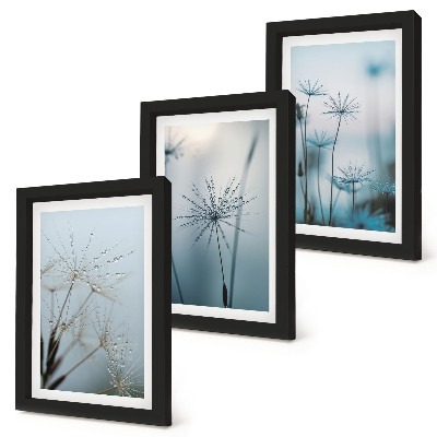 Lot de 3 tableaux Pissenlits délicats avec des gouttes d'eau