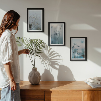 Lot de 3 tableaux Pissenlits délicats avec des gouttes d'eau