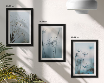 Lot de 3 tableaux Pissenlits délicats avec des gouttes d'eau