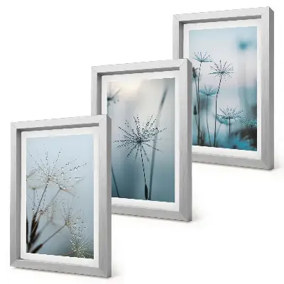 Tableaux Pissenlits délicats avec des gouttes d'eau lot de 3