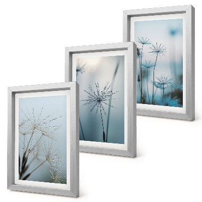 Lot de 3 tableaux Pissenlits délicats avec des gouttes d'eau