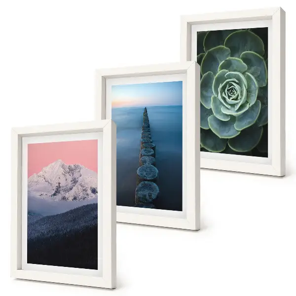 Mur de cadres montagnes au ciel rose avec eau et plantes succulentes vertes