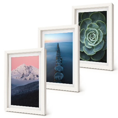 Mur de cadres Montagnes au ciel rose, eau et plantes succulentes vertes