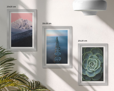 Mur de cadres Montagnes au ciel rose, eau et plantes succulentes vertes