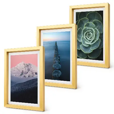 Mur de cadres montagnes au ciel rose avec eau et plantes succulentes vertes