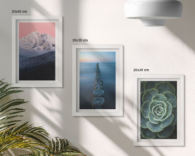 Mur de cadres Montagnes au ciel rose, eau et plantes succulentes vertes
